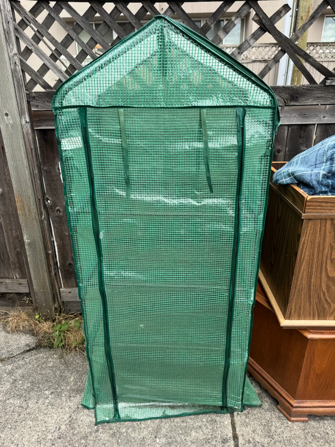 Dhuho 4-Tier Mini Greenhouse