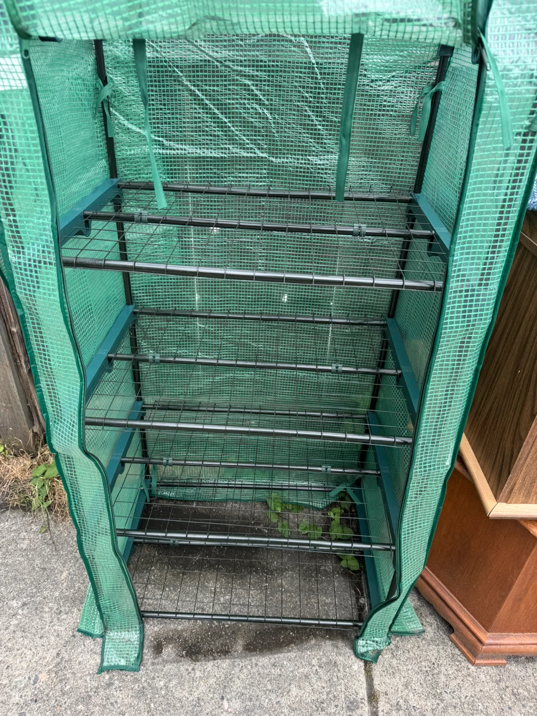 Dhuho 4-Tier Mini Greenhouse - photo 3