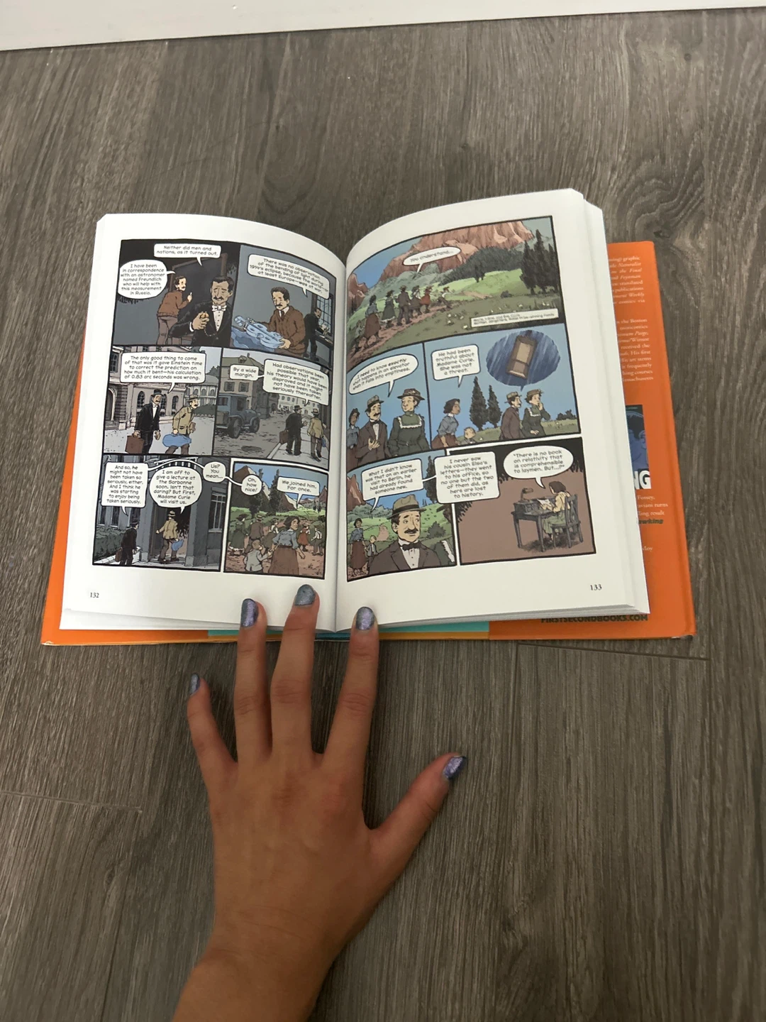 Einstein: The Graphic Biography - photo 4