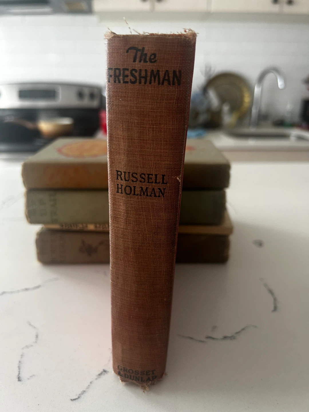 The Freshman by Russell Holman - 1925 - photo 4