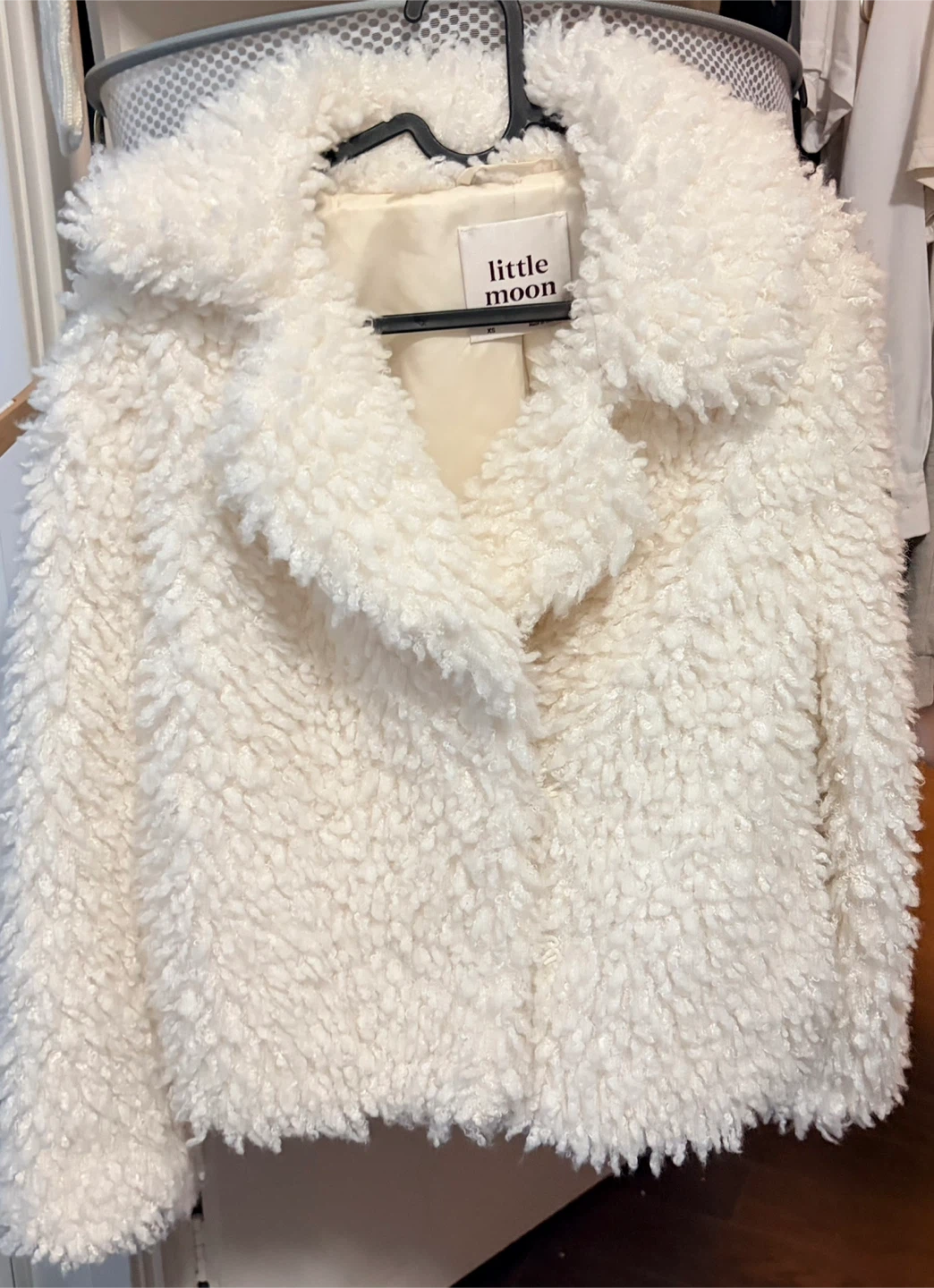 Barely worn Aritzia Little Moon Faux Fur Teddy Jacket coat