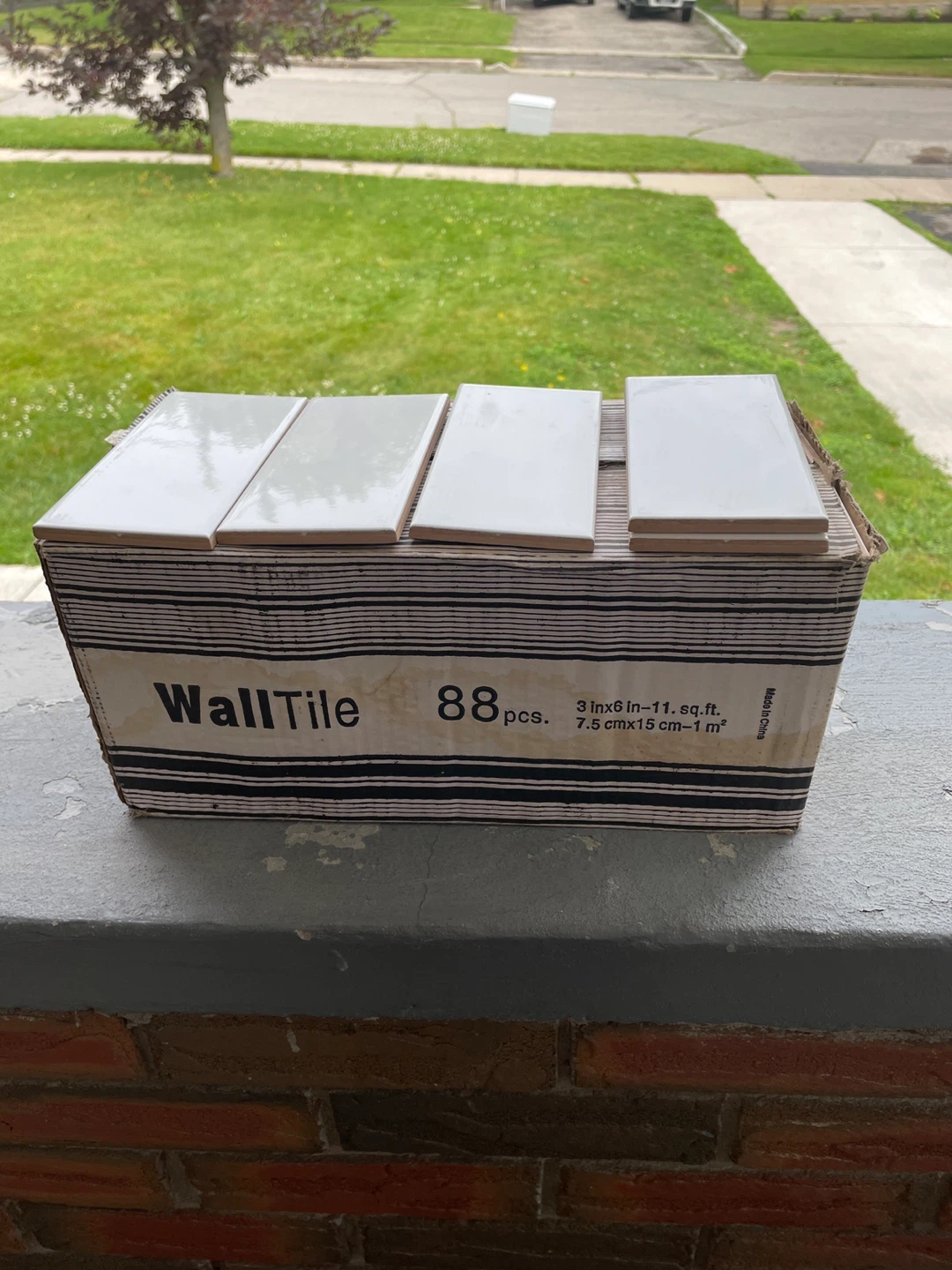 Wall Tiles - 3x6 in.