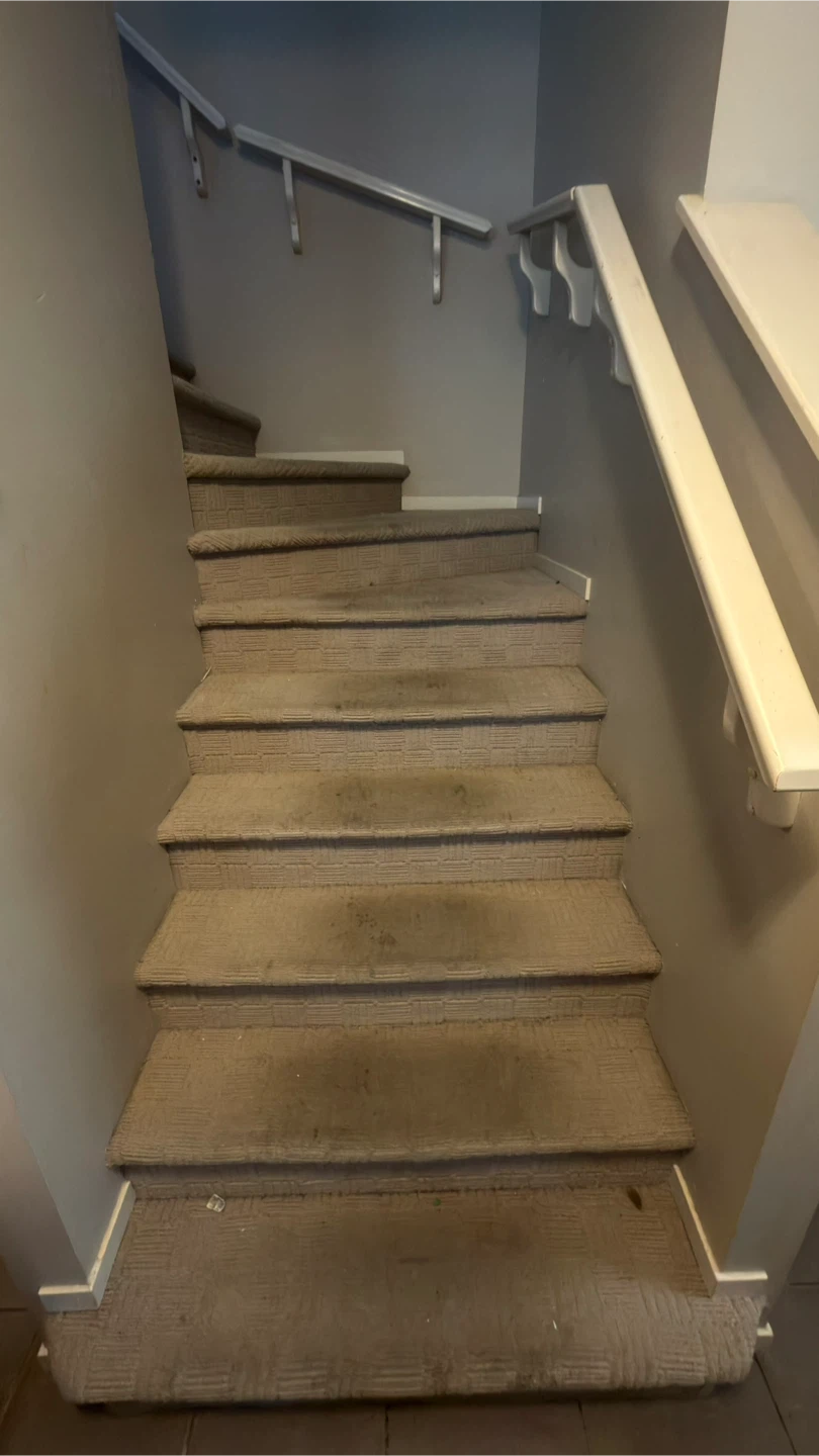 Carpet cleaning services