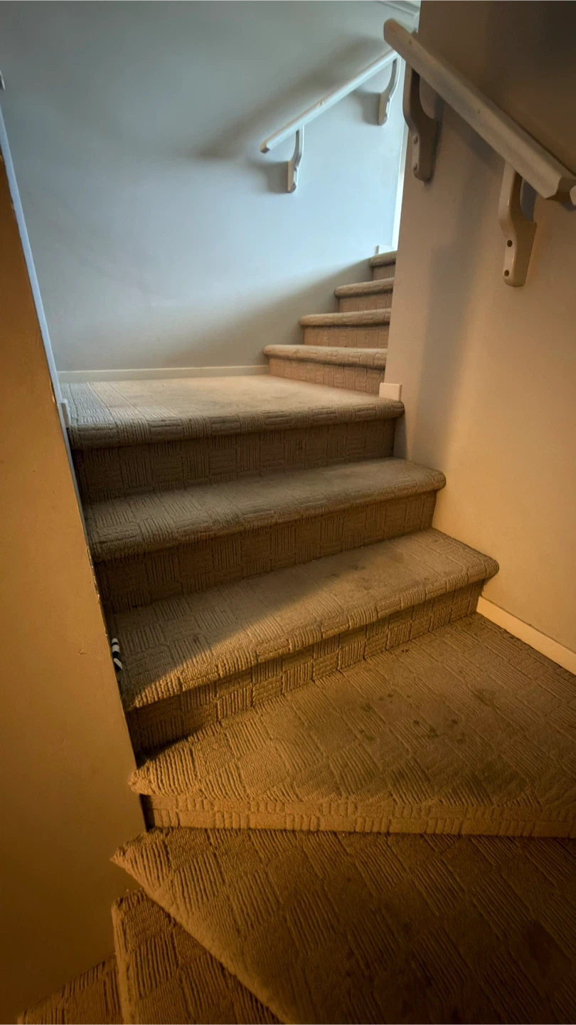 Carpet cleaning services - photo 2