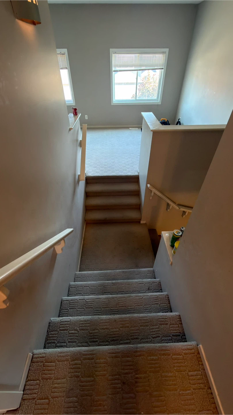 Carpet cleaning services - photo 3