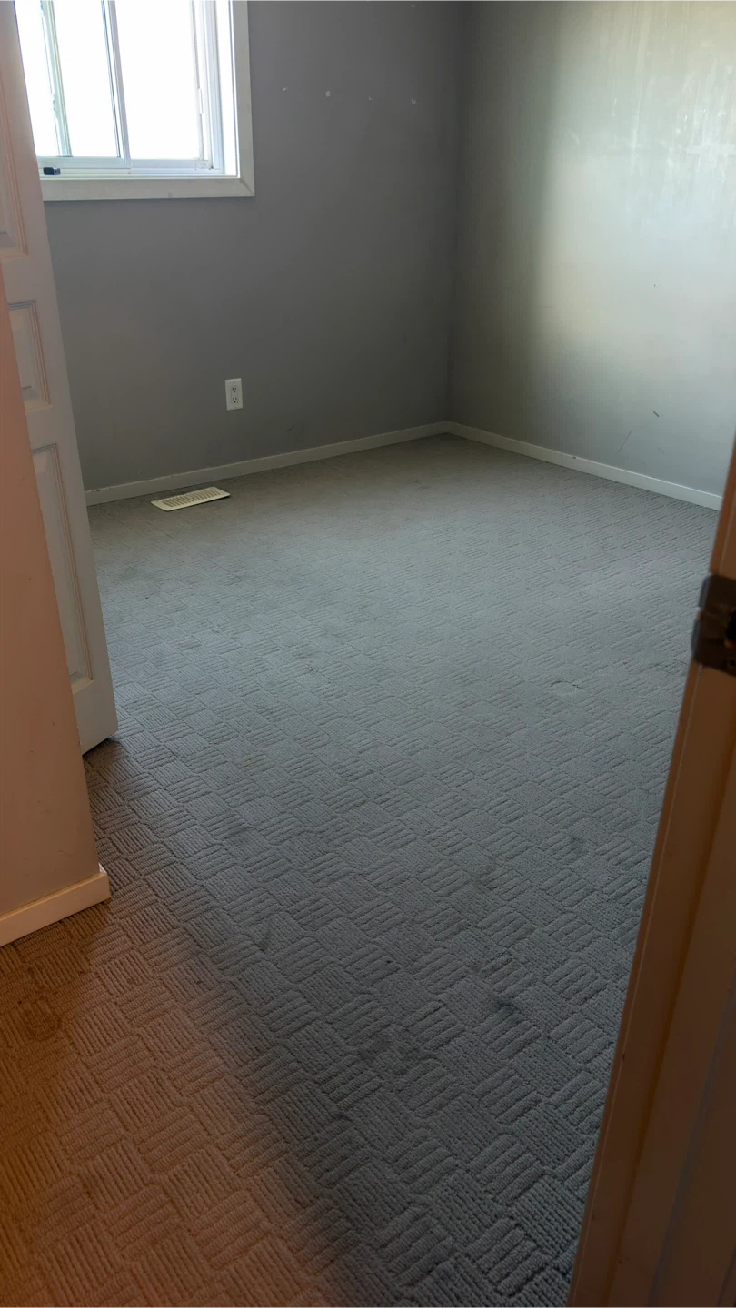 Carpet cleaning services - photo 4