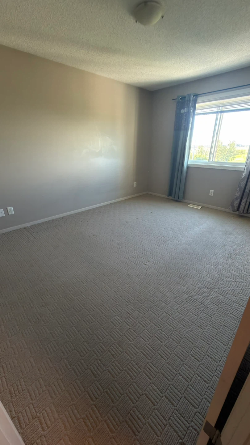 Carpet cleaning services - photo 5