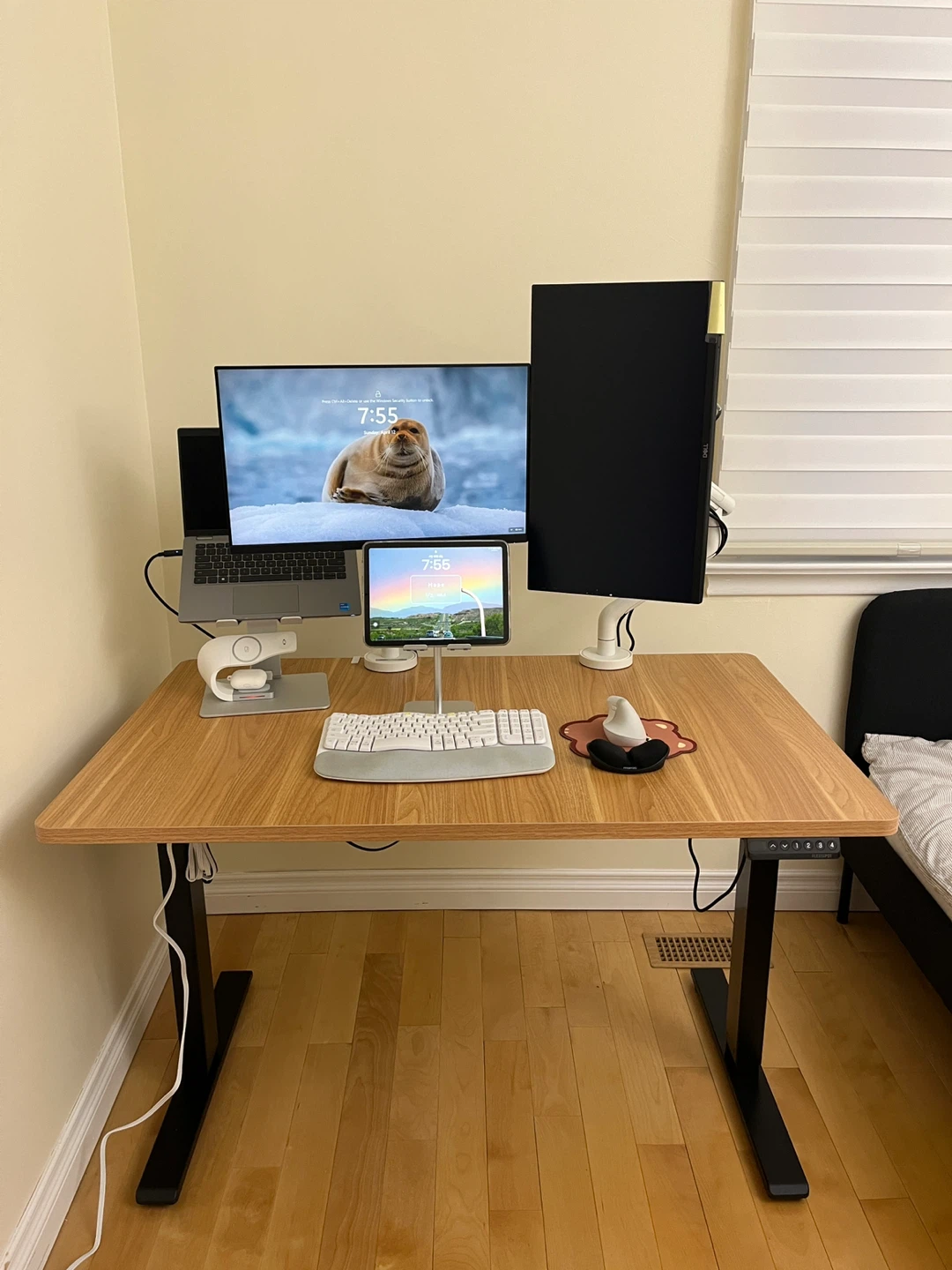 Flexispot 48*30 standing desk with motor