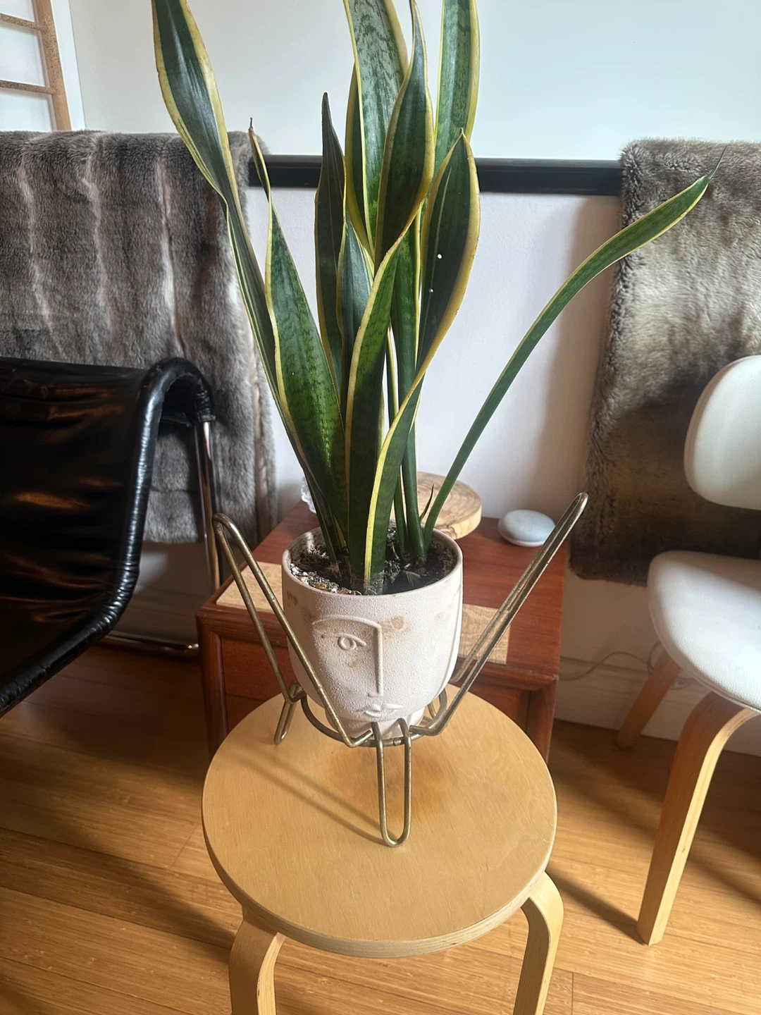 ATOMIC MCM BRASS WIRE PLANT STAND POT HOLDER - photo 5