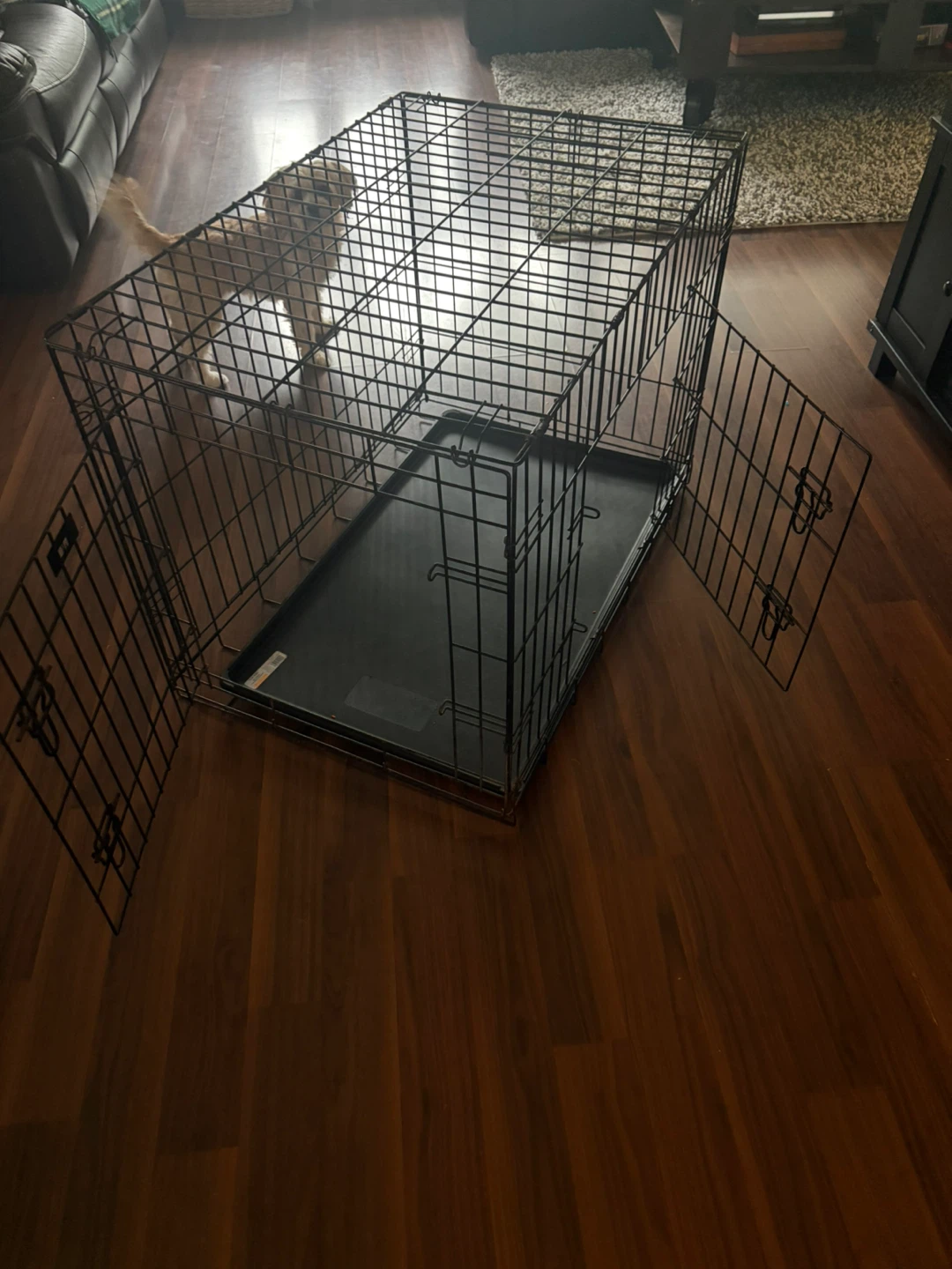 MidWest Homes for Pets Dog Crate - photo 4