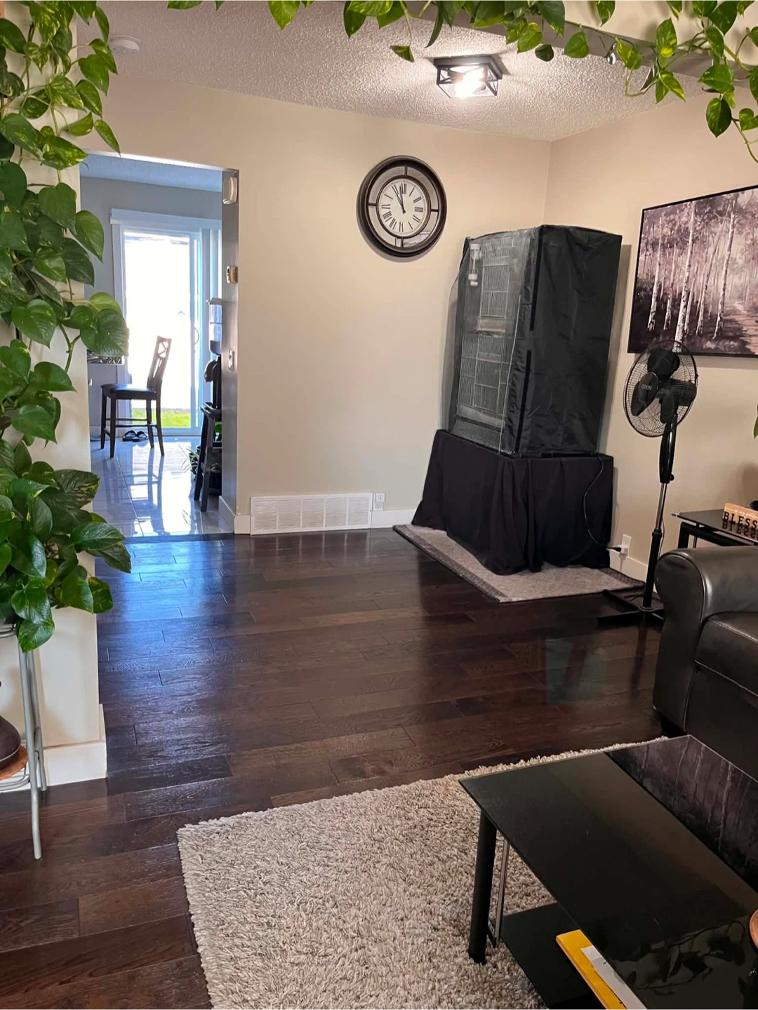 House for Rent - photo 2
