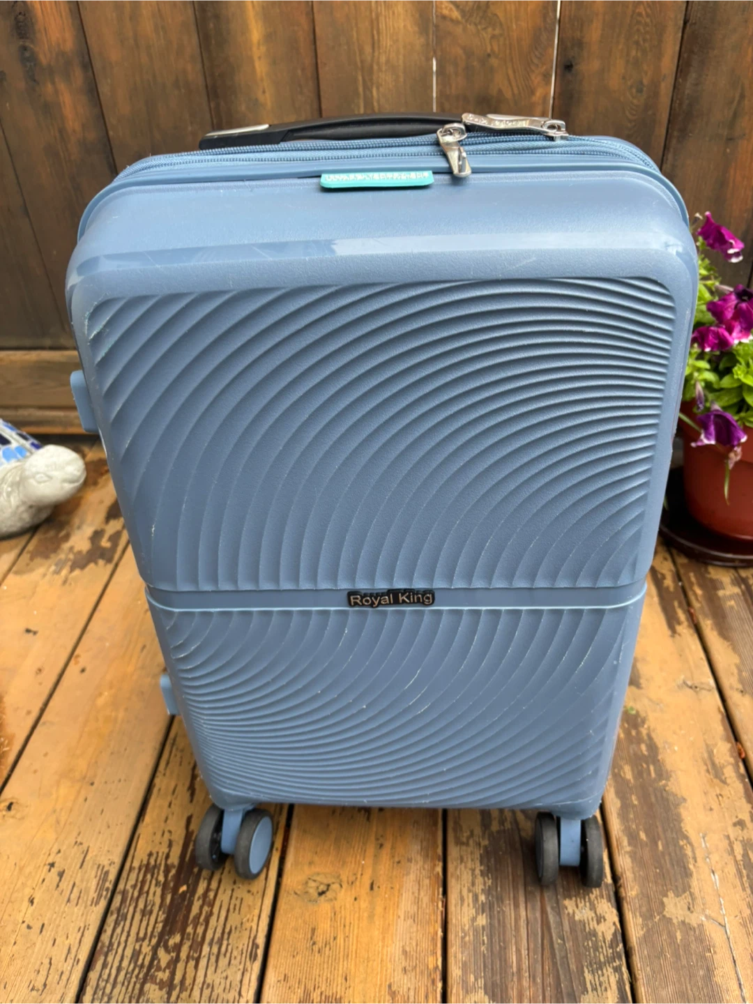 Royal King Blue Polypropylene Carry-On Luggage