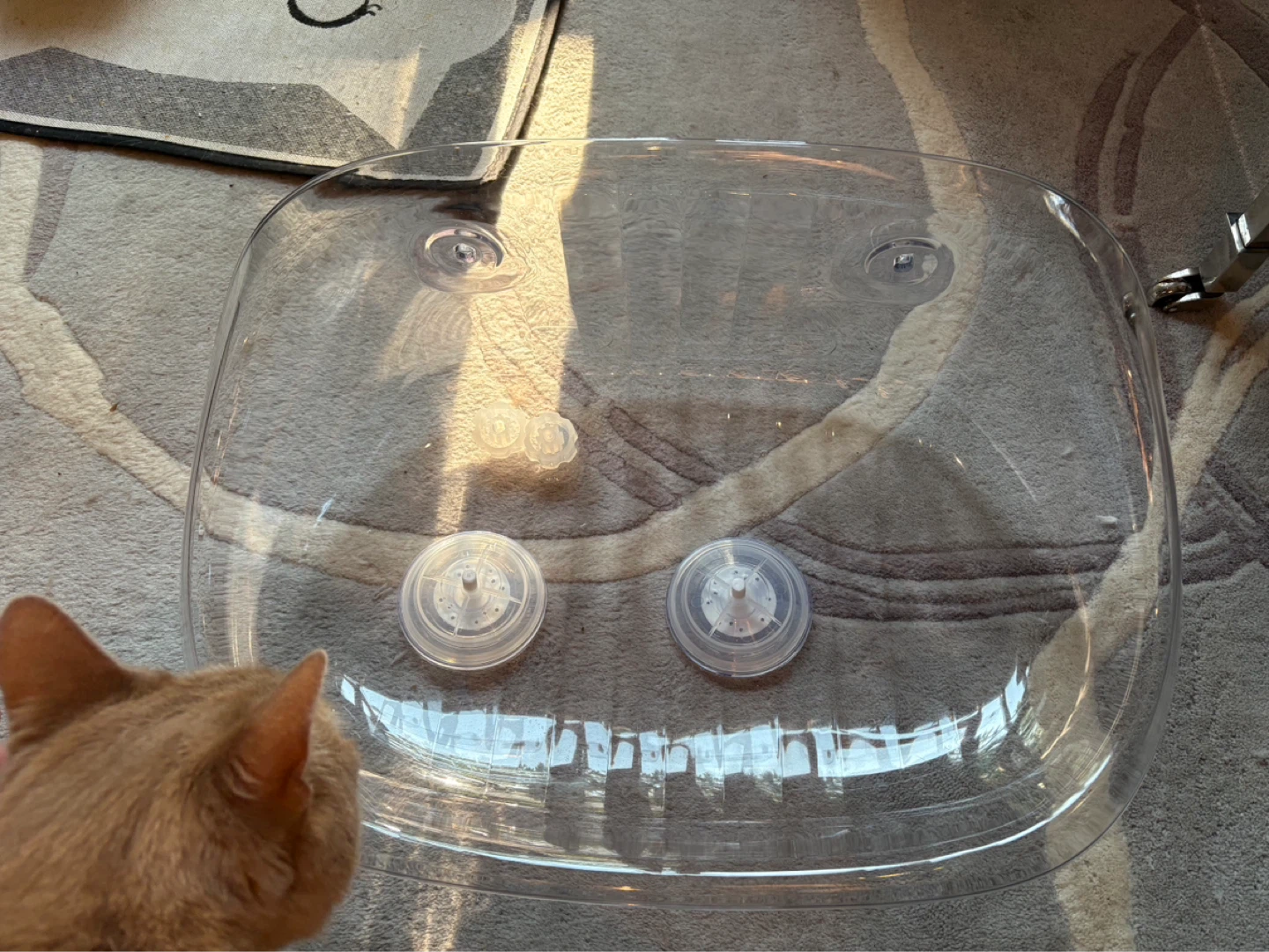 Cat Window Perch - Transparent - photo 4