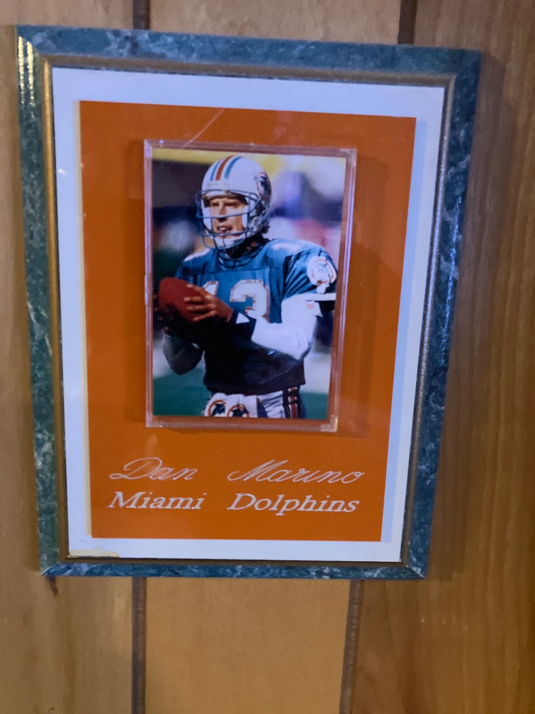Dan Marino Miami Dolphins Framed Photo