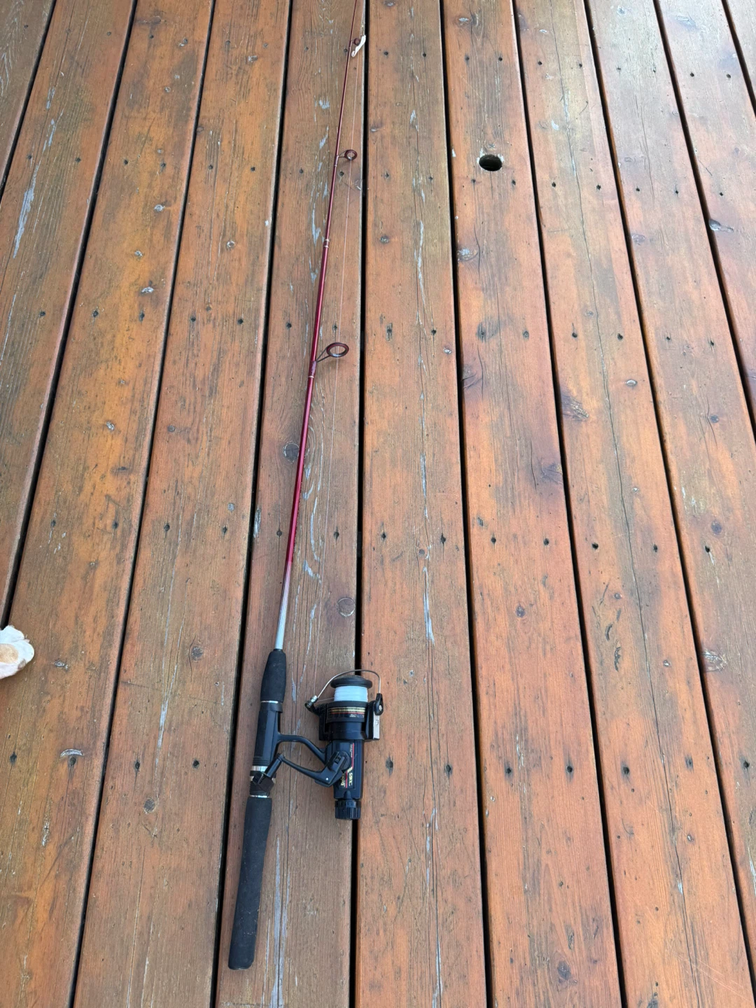Daiwa CX165 Fishing Reel and Berkley Cherrywood Rod - photo 2