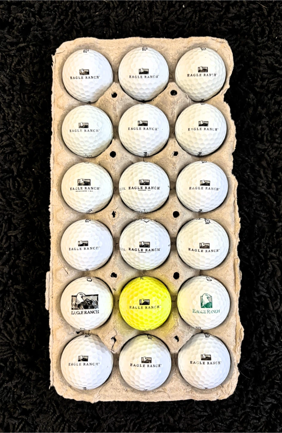 18 Eagle Ranch Resort Golf Balls - photo 2