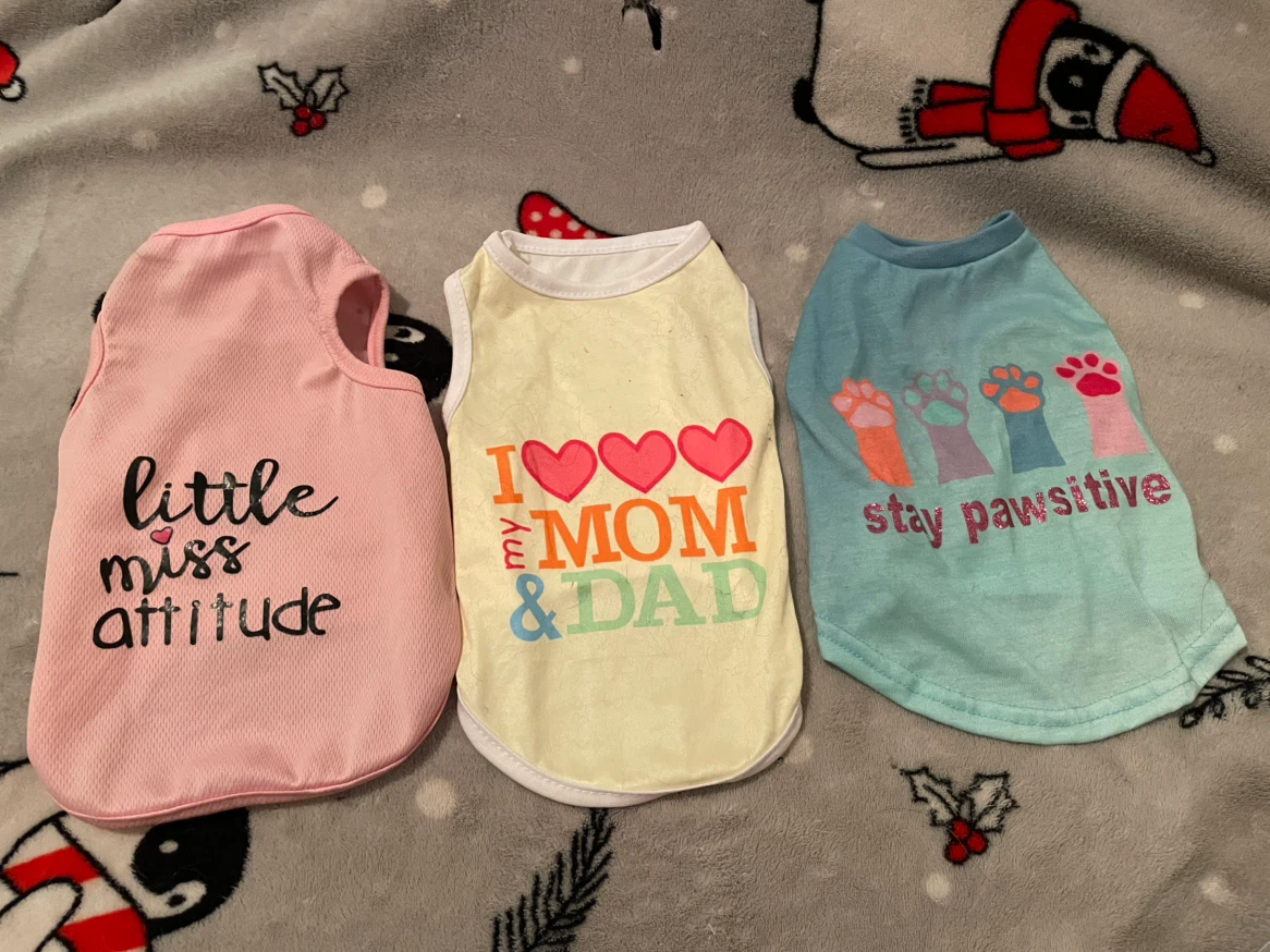 10” XS Dog Shirts Lot #1