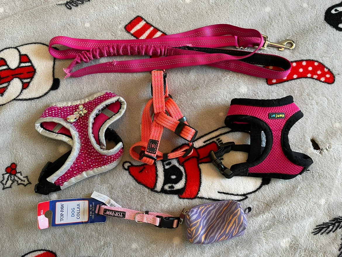 XXS Dog Harnesses & Leash Lot