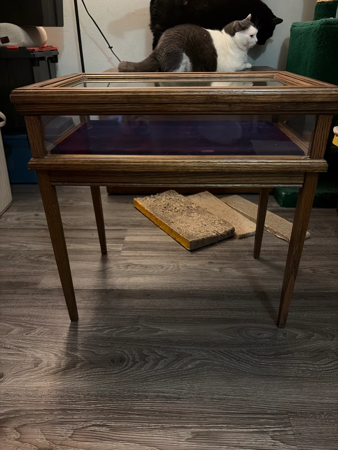 Oak Wood Display Case with Velvet Lining