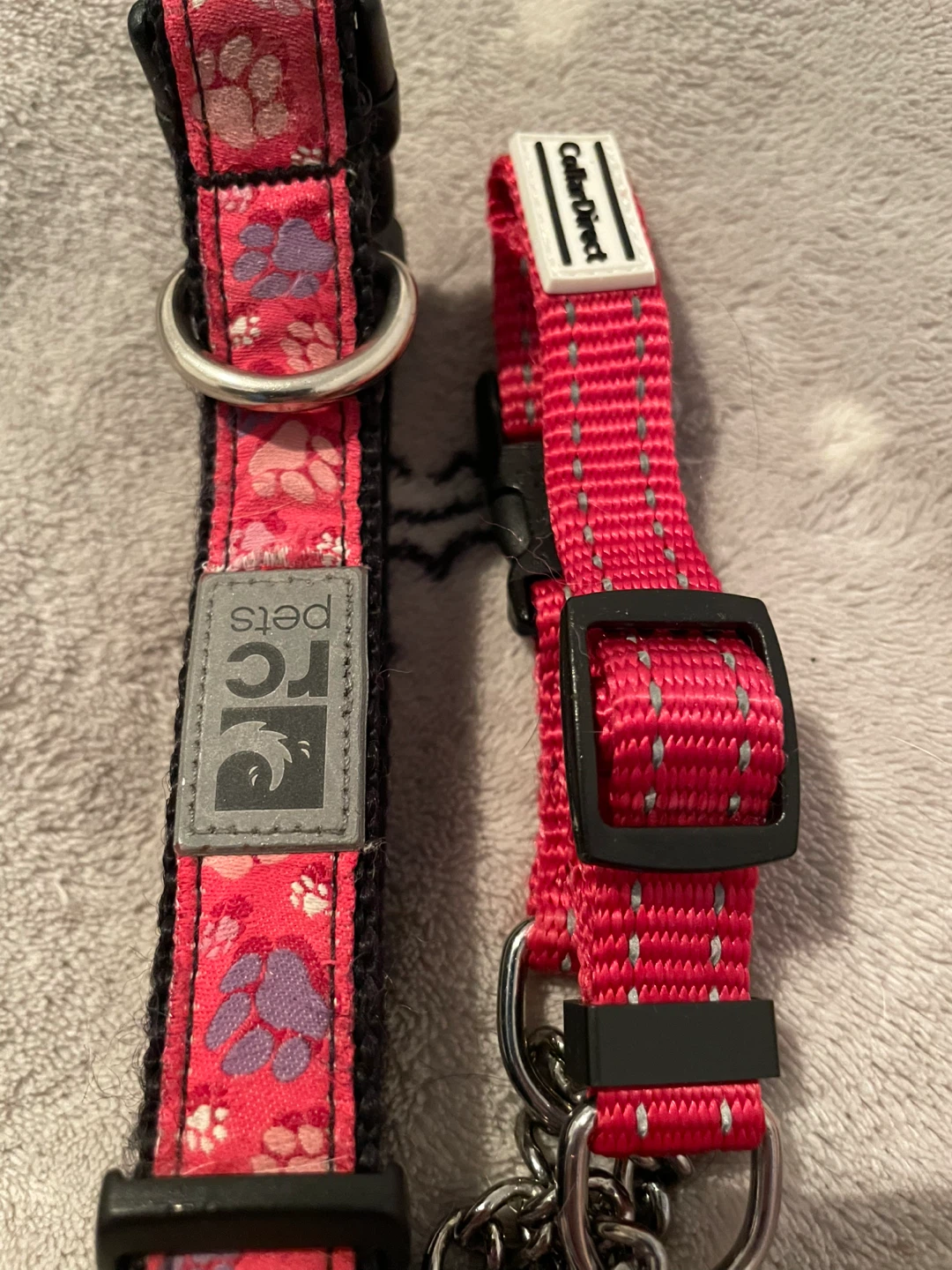Small Dog Collars - photo 2
