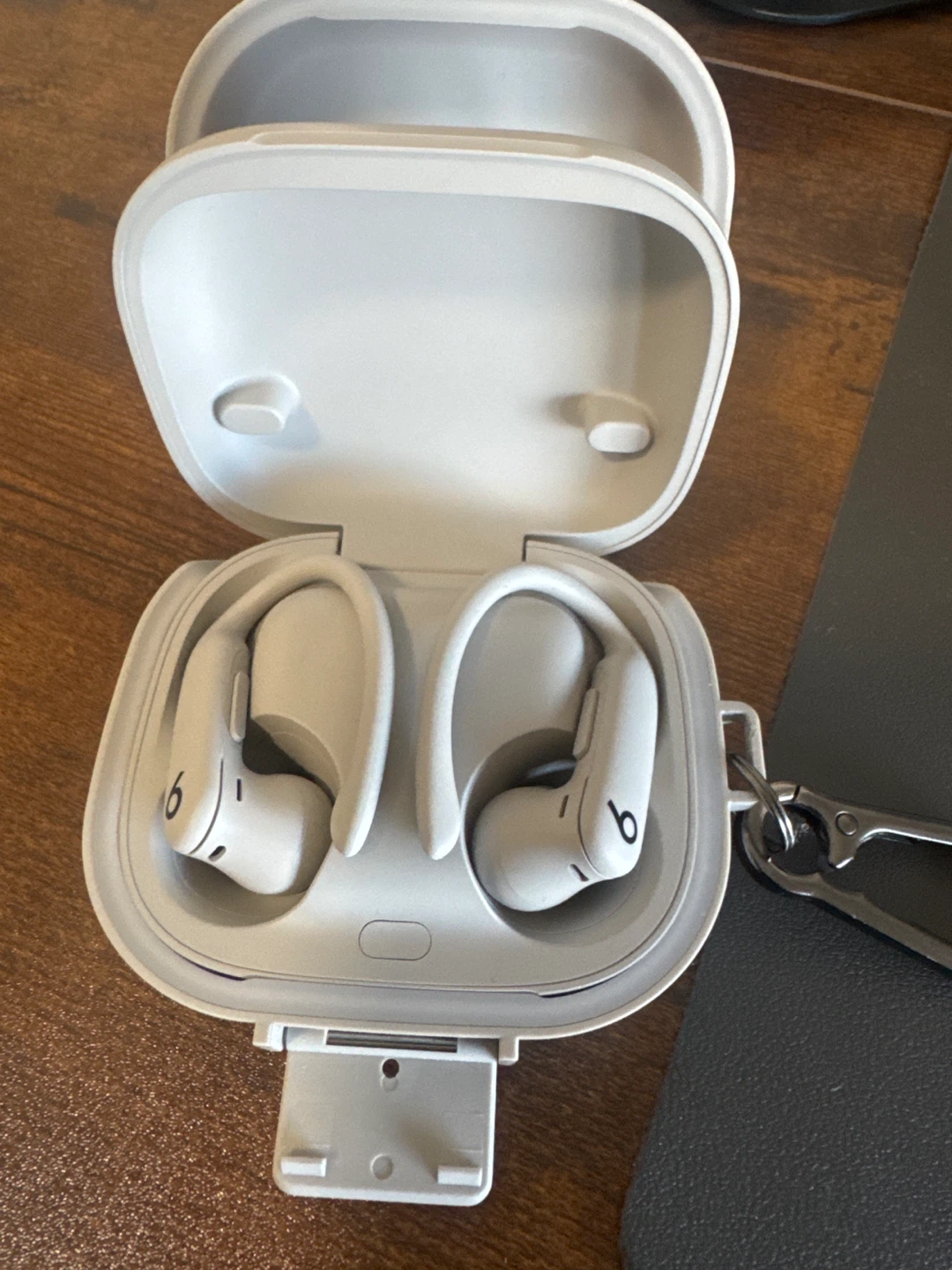 Beats Powerbeats Pro Wireless Earbuds
