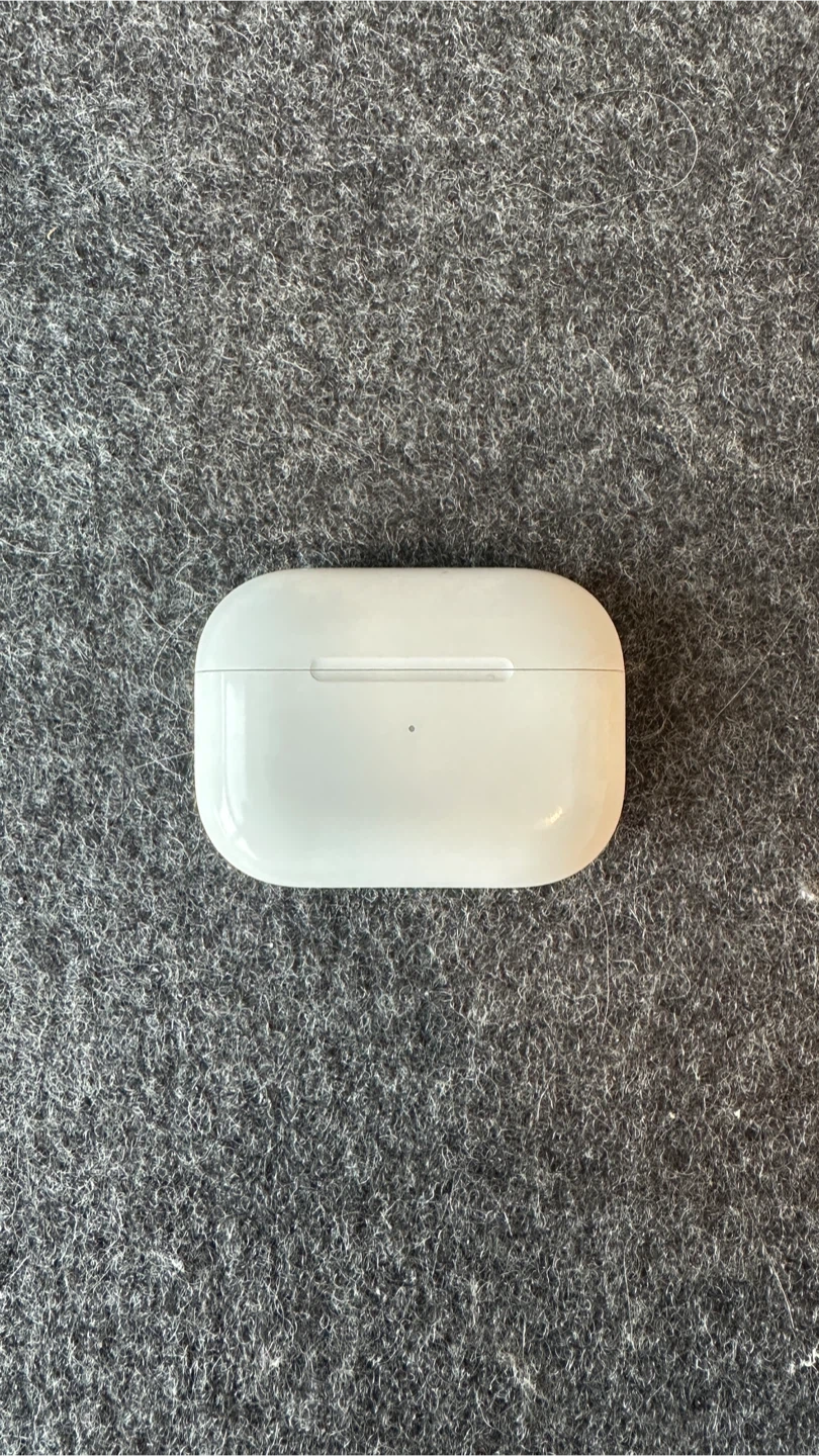 Apple AirPods Pro Charging Case