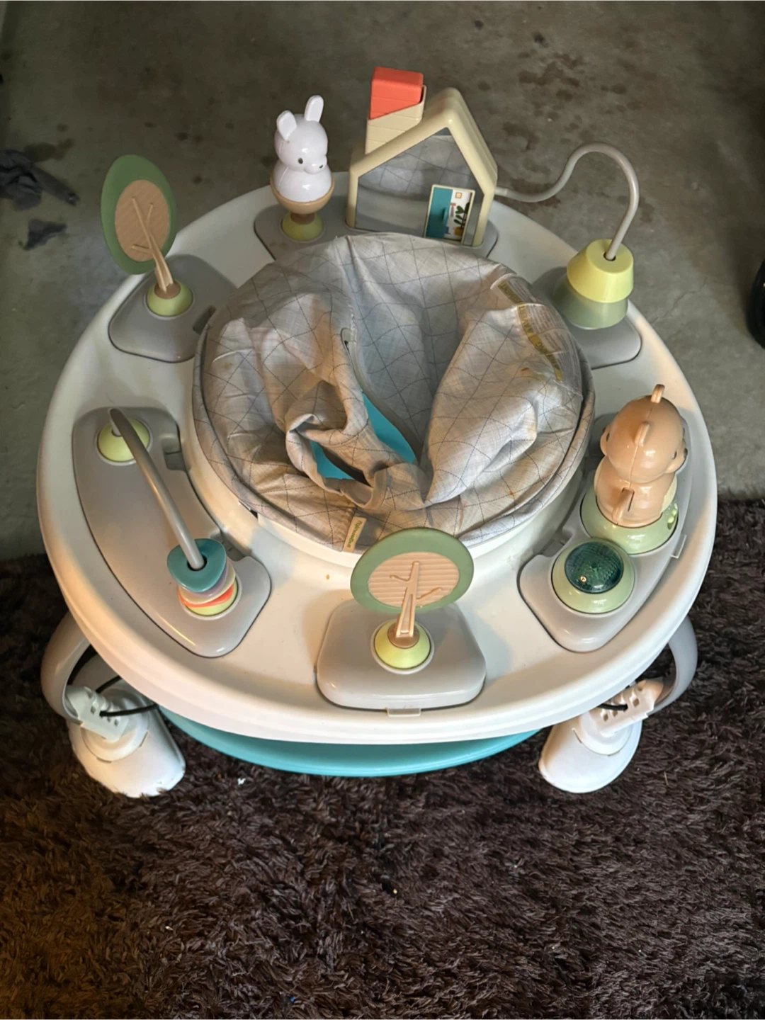 ngenuity Spring & Sprout