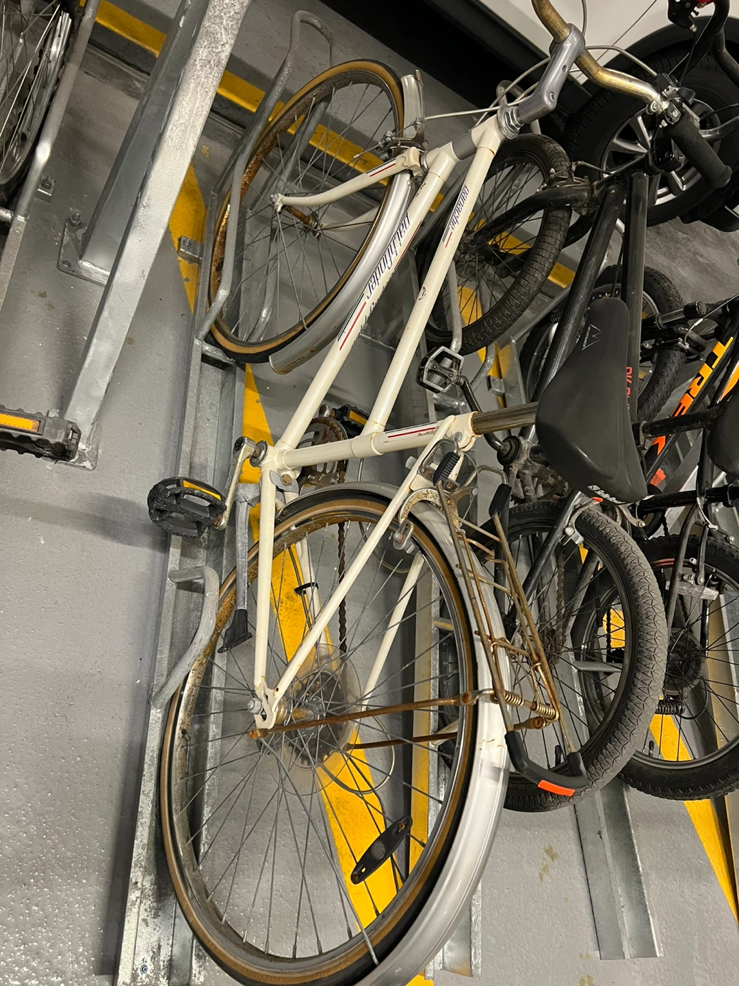 Pathfinder Cruiser Bicycle