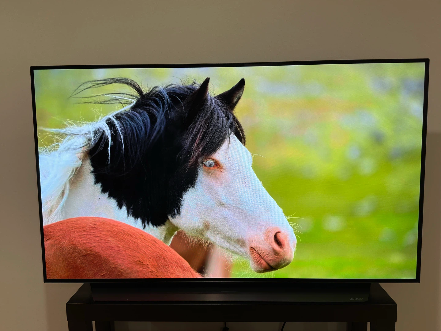 LG OLED 48in C2 TV