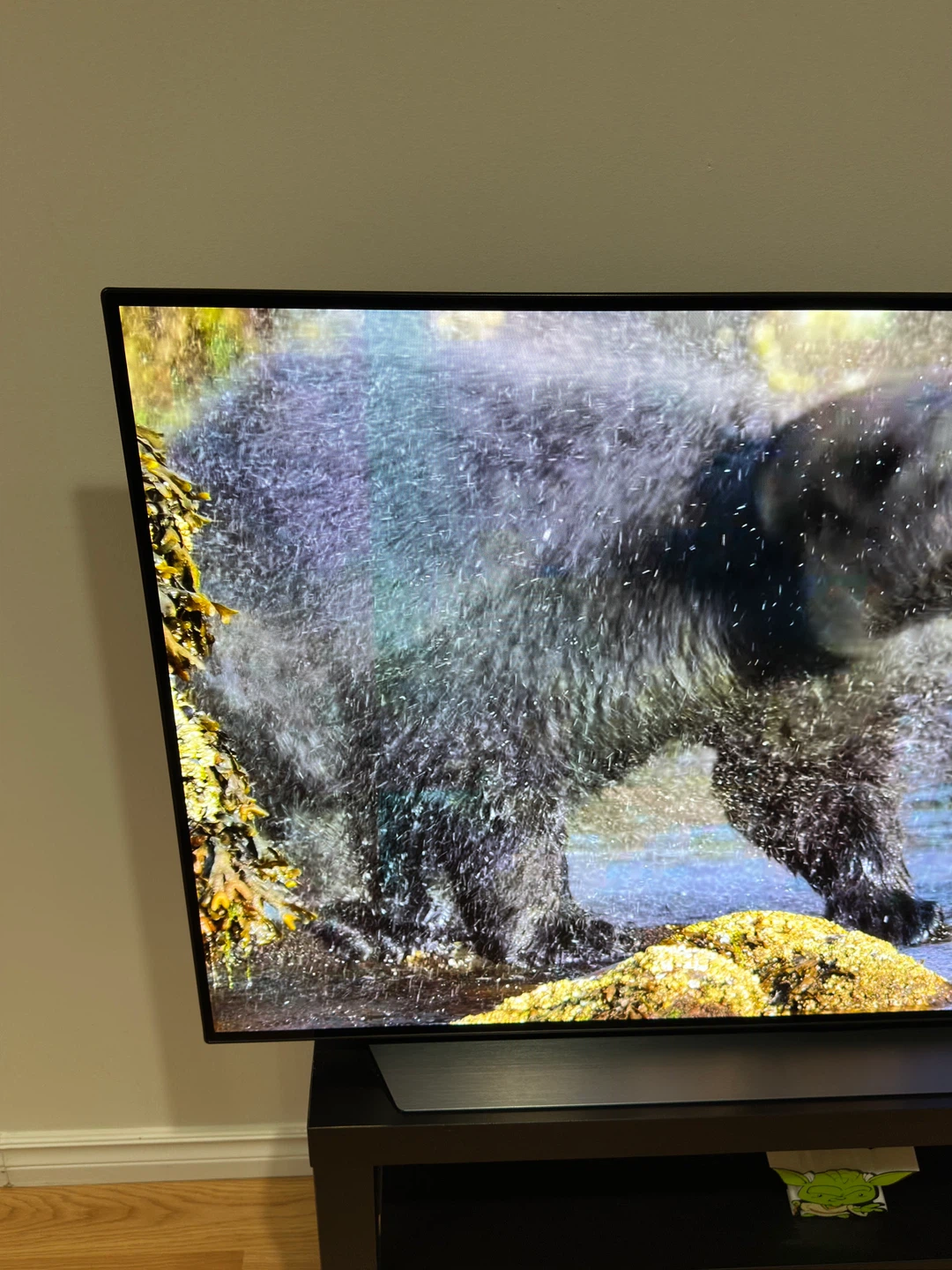 LG OLED 48in C2 TV - photo 2