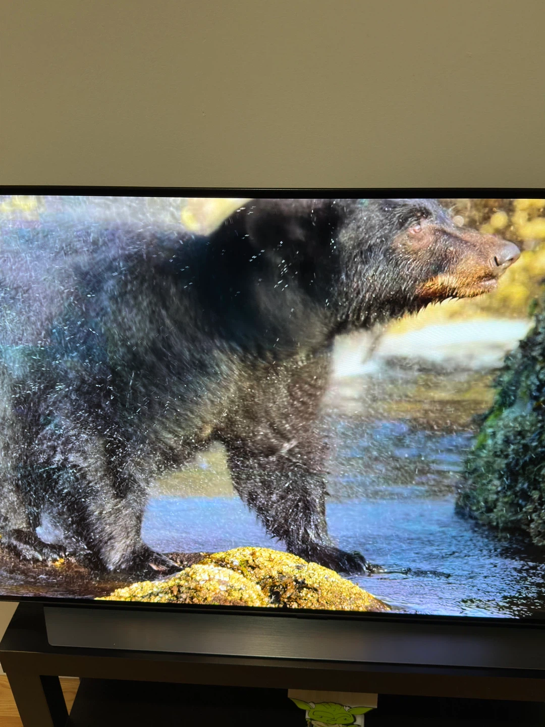 LG OLED 48in C2 TV - photo 3