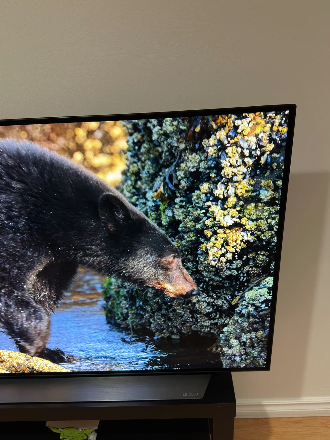LG OLED 48in C2 TV - photo 4