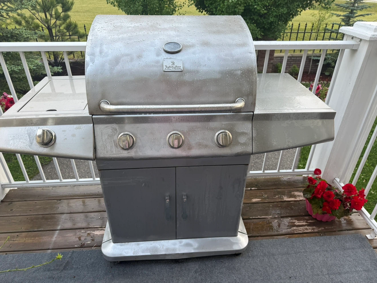 4-Burner Gas Grill with Side Burner