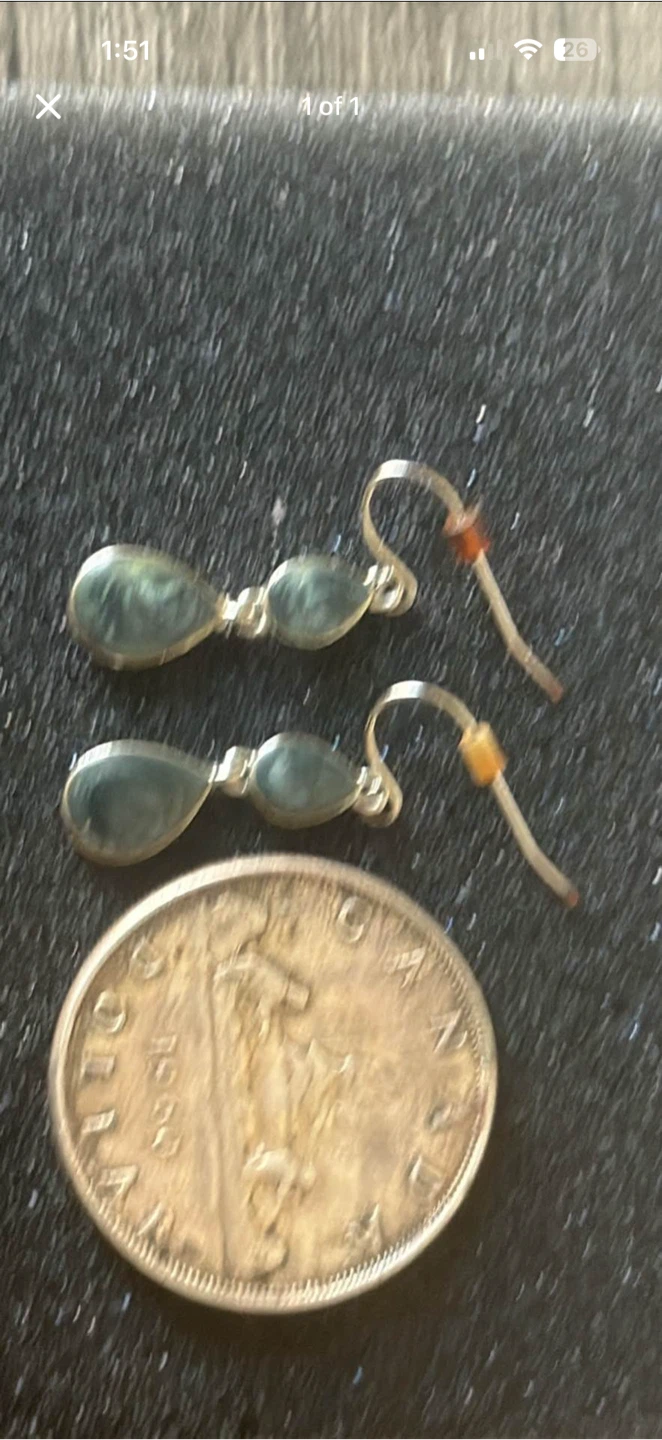 Teardrop Stone Dangle Earrings with Fish Hook Backs
