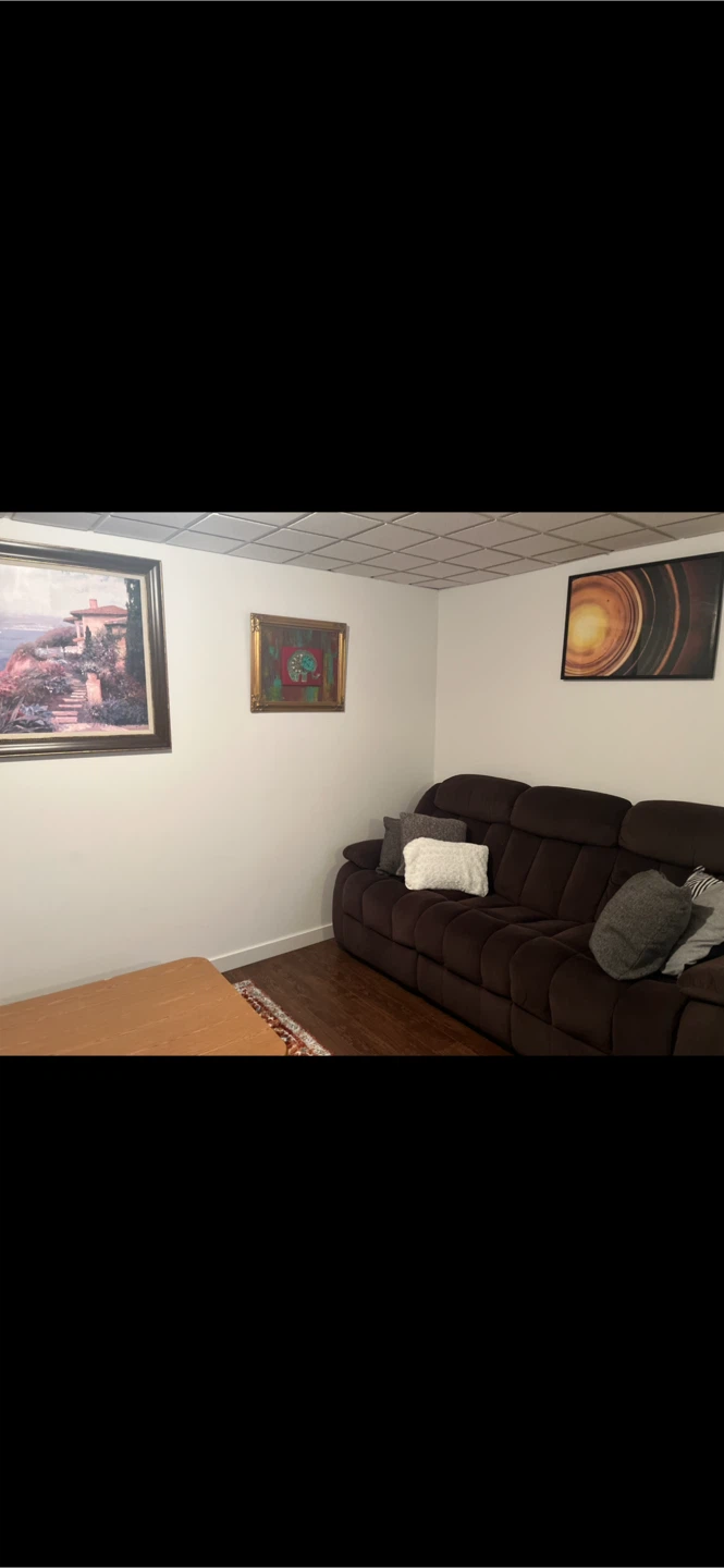 Dark Brown Reclining Sofa