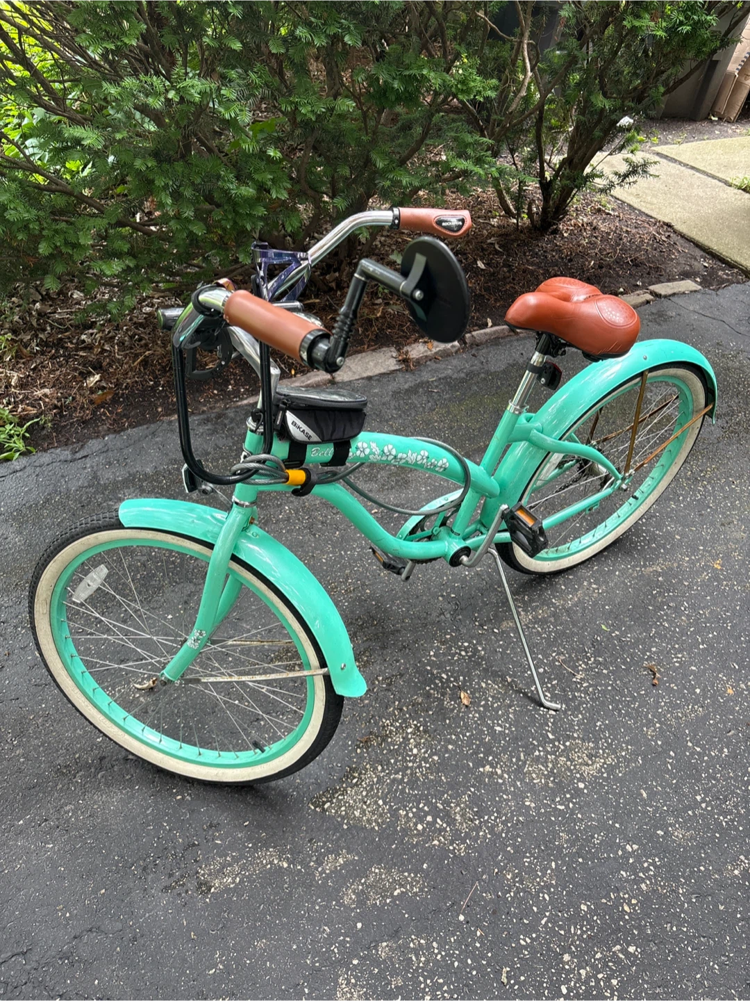Schwinn Cruiser Bike