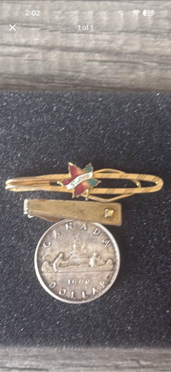 Vintage tie clips
