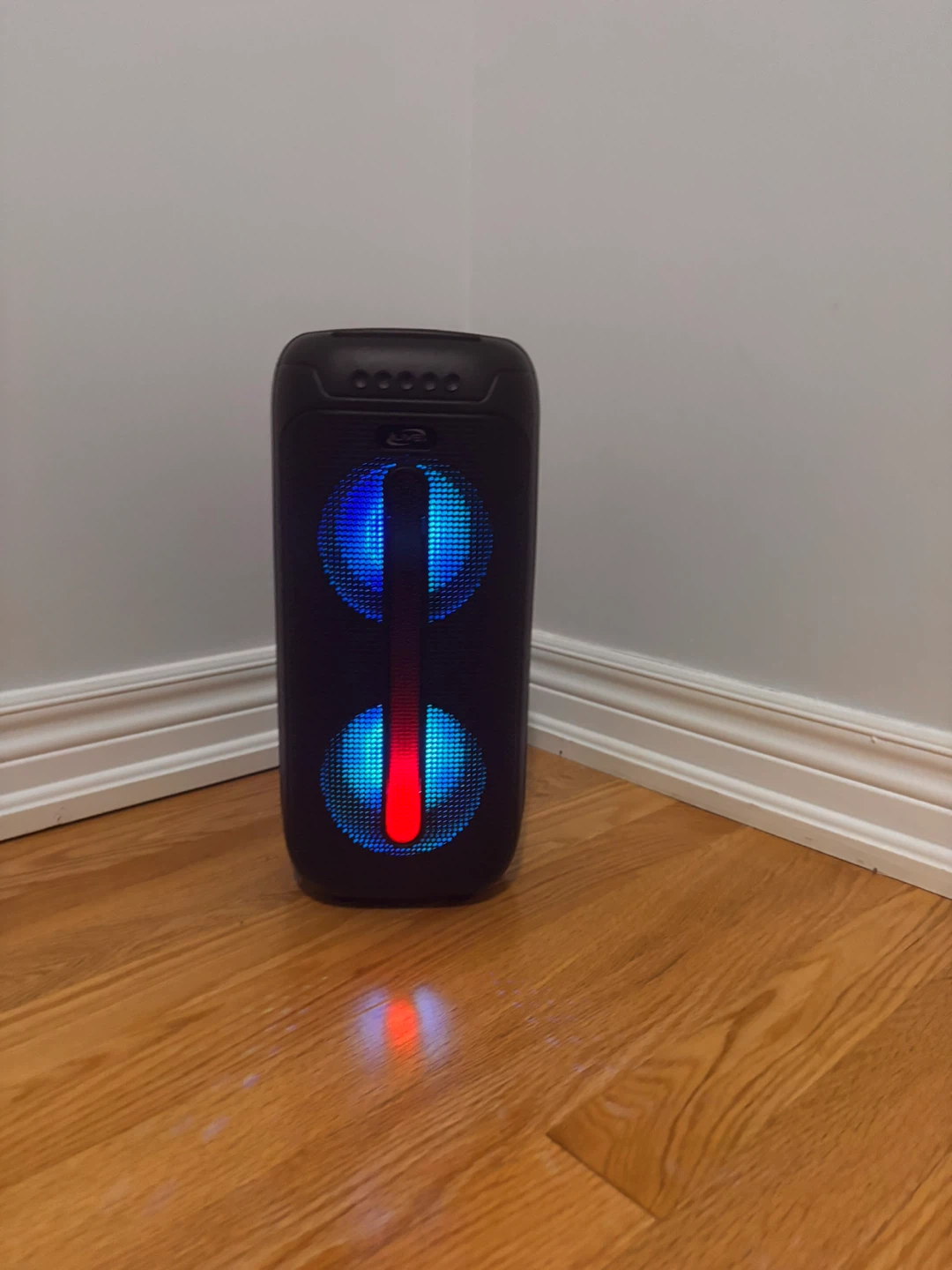 Portable Bluetooth Karaoke Speaker with Microphone