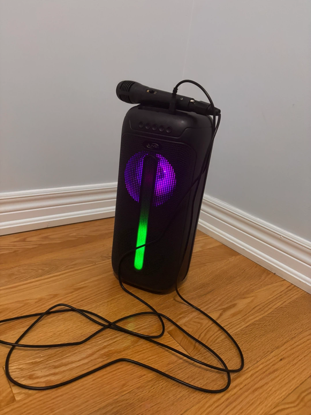 Portable Bluetooth Karaoke Speaker with Microphone - photo 2