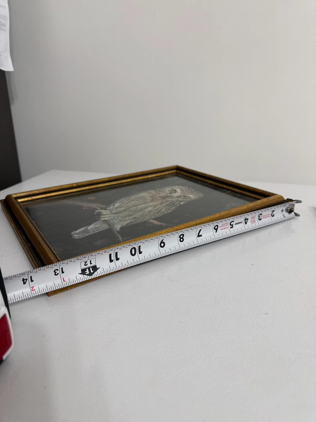 Framed Owl Art Print - photo 5