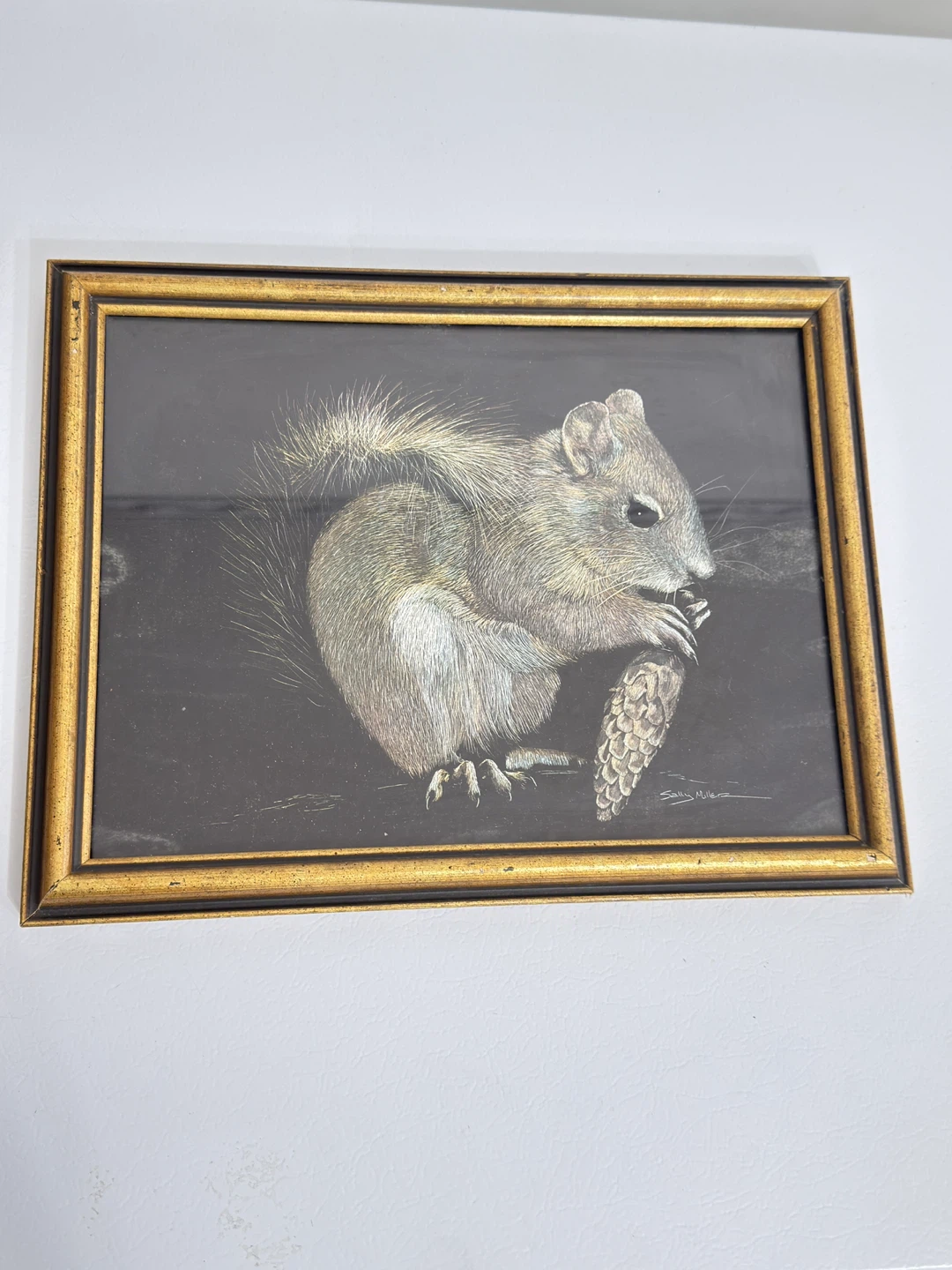 Framed Print of Squirrel with Pinecone