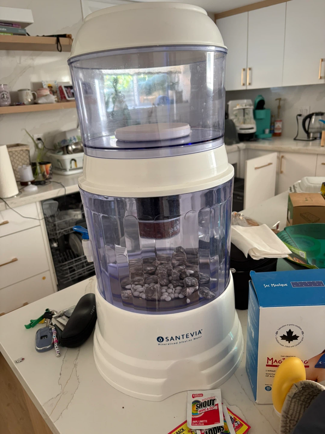 Santevia Water Filter Pitcher