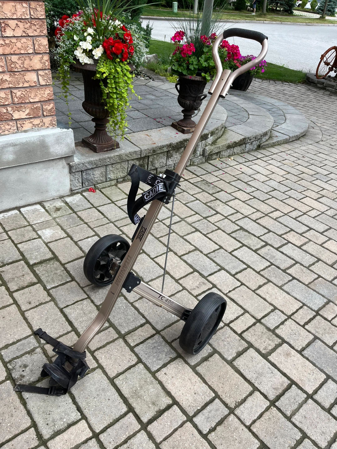 Manual golf cart - photo 2