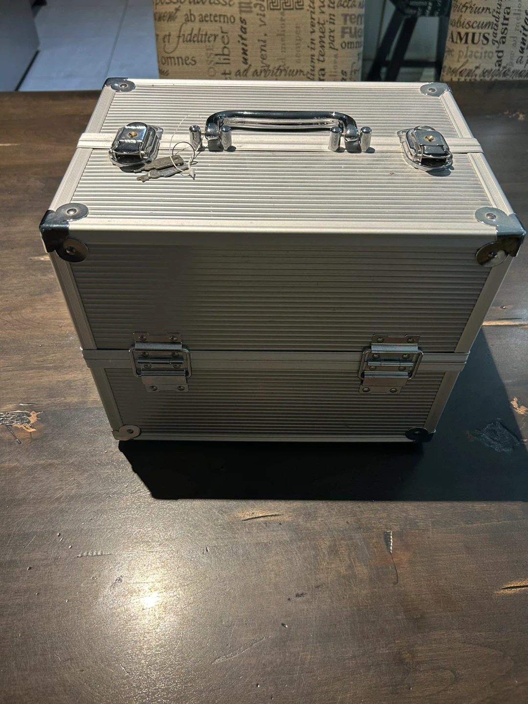 Silver Makeup Case