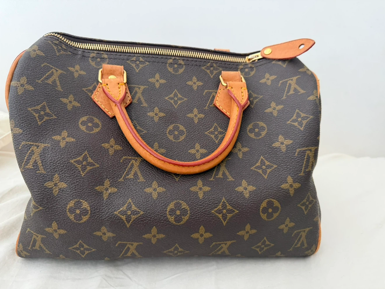 Louis Vuitton Speedy Bag (not authentic)