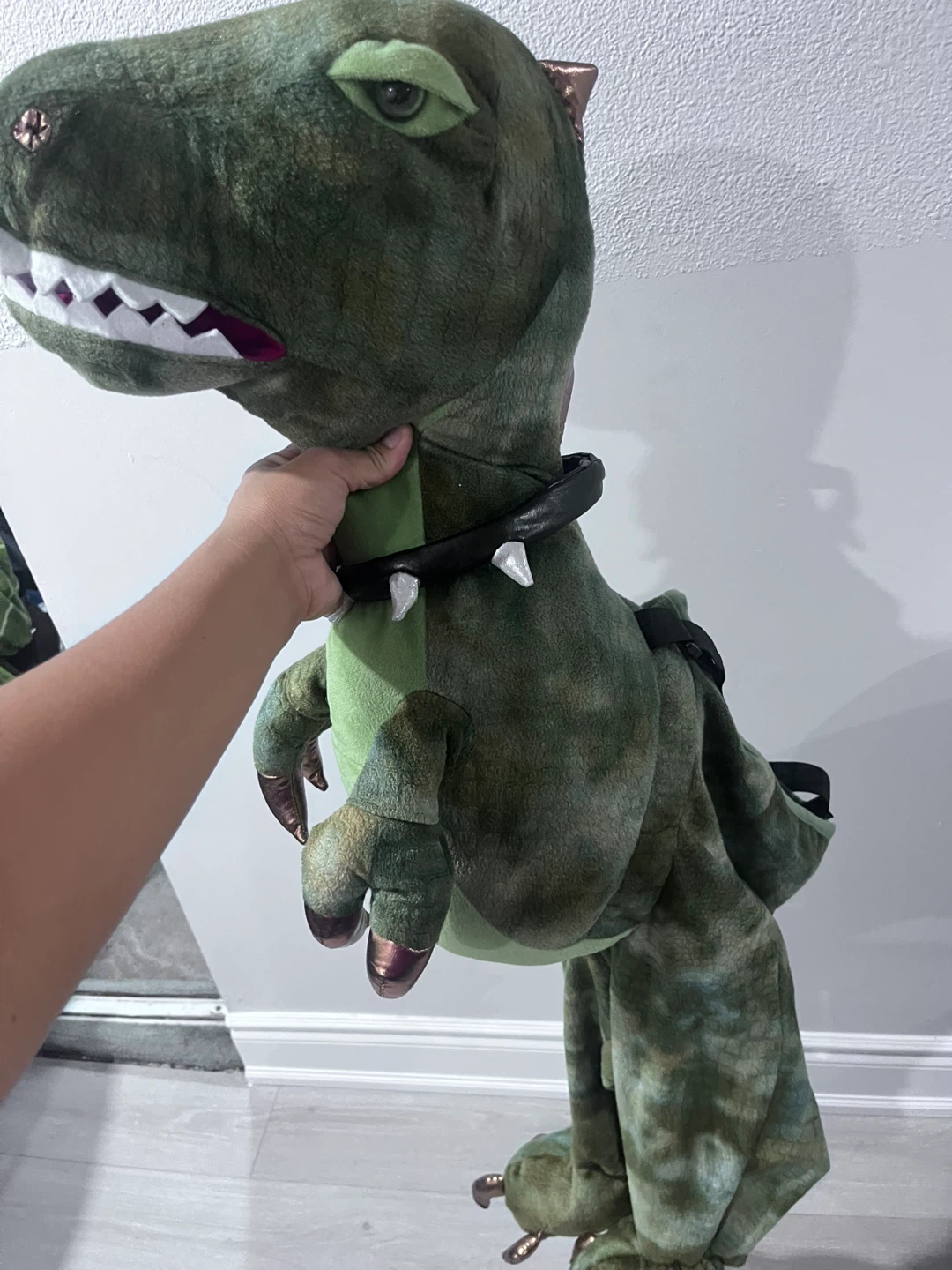 Dinosaur Costume