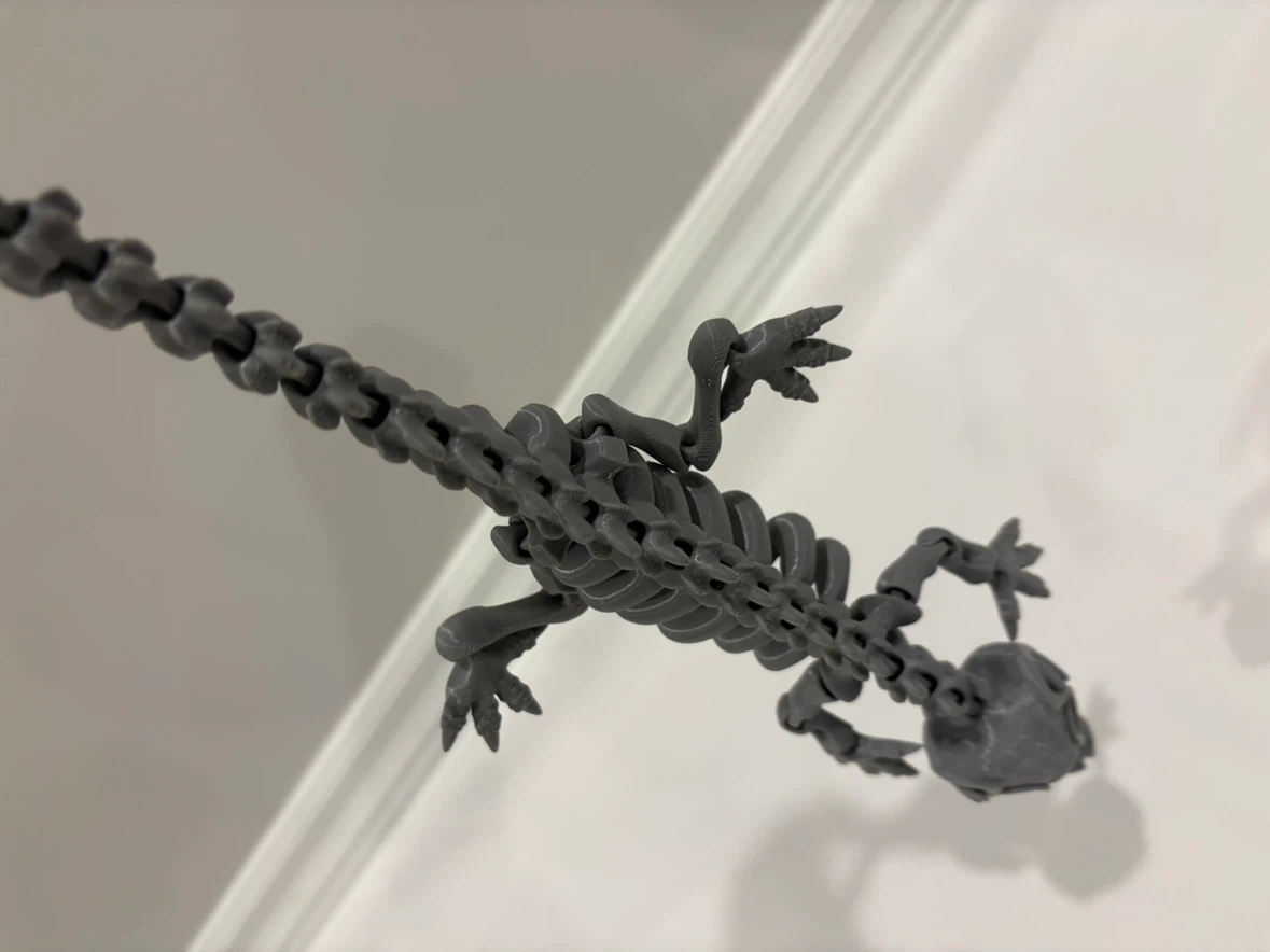 3D Printed Articulated Skeleton Lizard Toy - photo 3