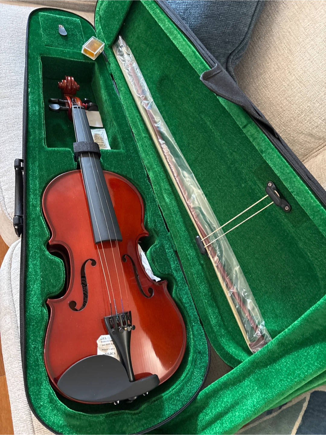 Violin with Case and Bow