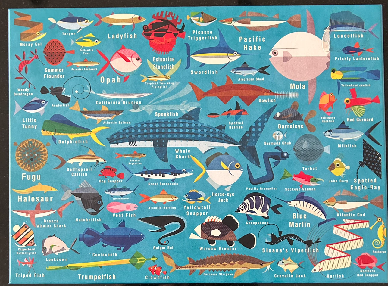 Mudpuppy Ocean Life 1000 Piece Puzzle