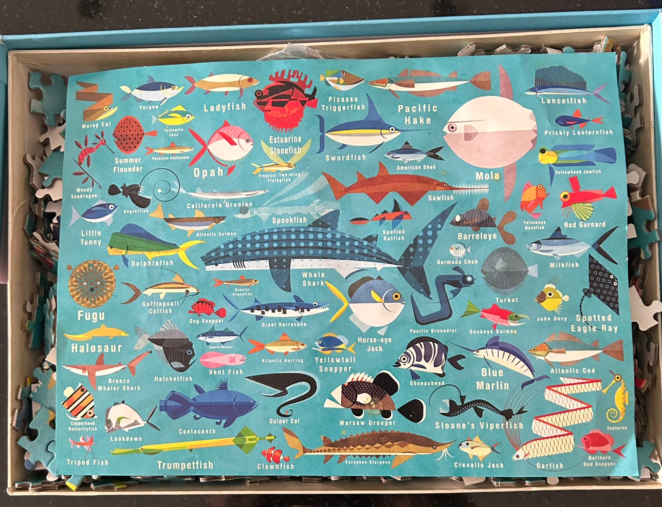 Mudpuppy Ocean Life 1000 Piece Puzzle - photo 3